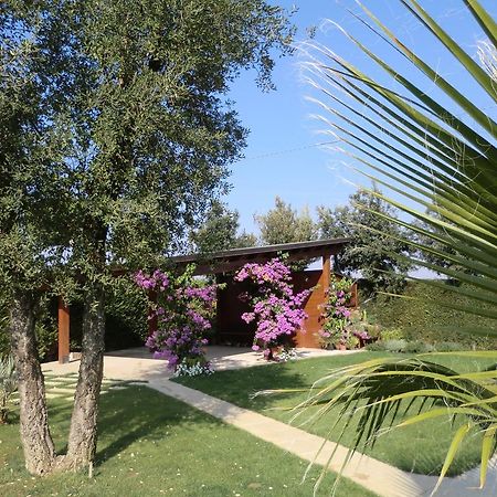 B&B "Corte San Tomaso" Legnago Exteriér fotografie