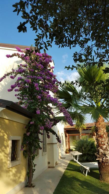 B&B "Corte San Tomaso" Legnago Exteriér fotografie
